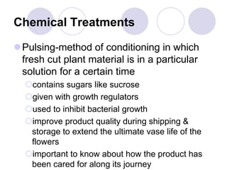 Chemical Treatments
Pulsing-method of conditioning in which
fresh cut plant material is in a particular
solution for a certain time
contains sugars like sucrose
given with growth regulators
used to inhibit bacterial growth
improve product quality during shipping &
storage to extend the ultimate vase life of the
flowers
important to know about how the product has
been cared for along its journey
 