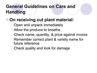 General Guidelines on Care and
Handling
On receiving cut plant material:
Open and unpack immediately
Allow the produce to breathe
Check name, quantity, & price against invoice
Remember correct plant & variety name for
future reference
Check quality and look for damage
 