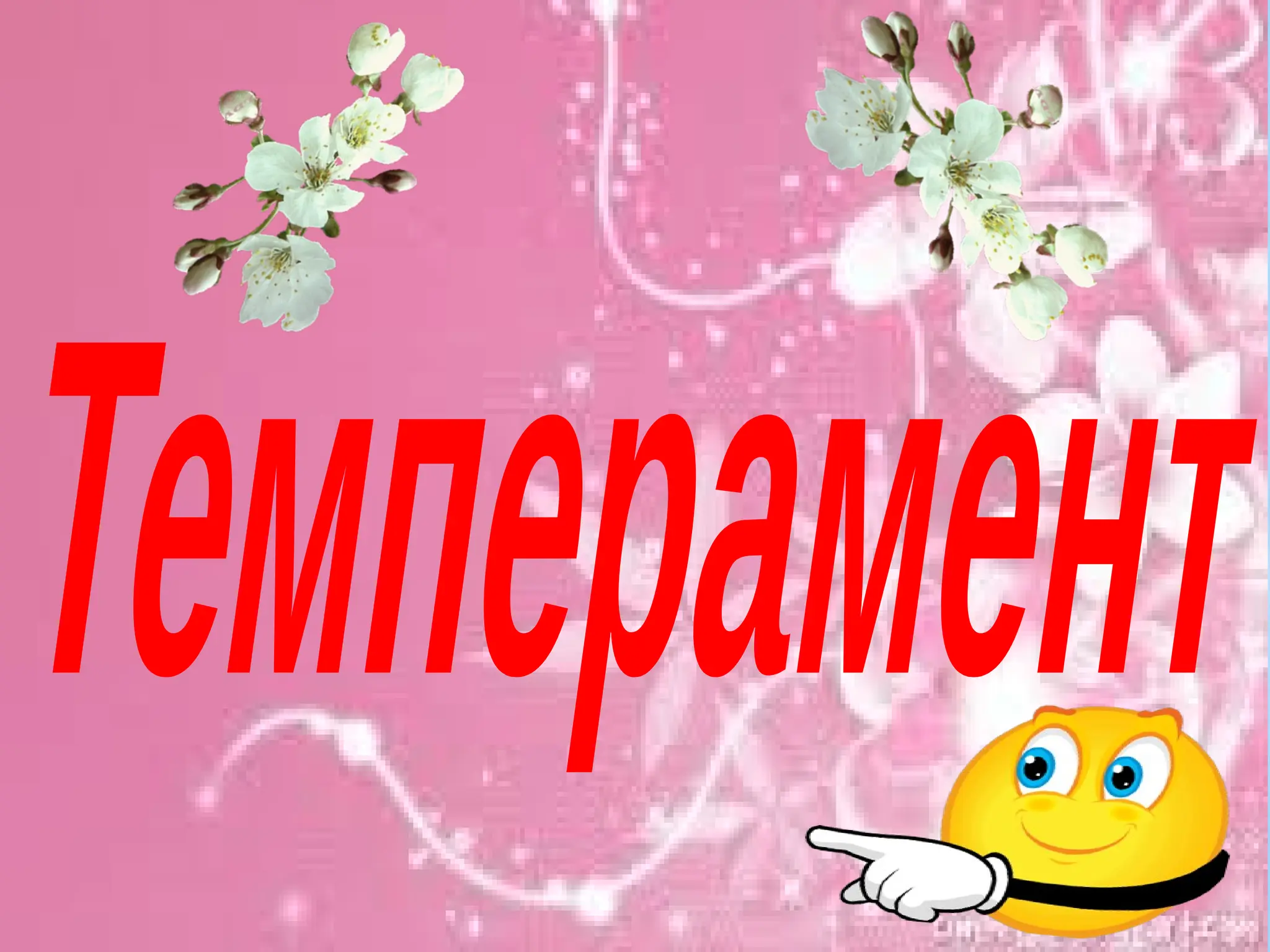 Анальный секс порно видео Көлік жүргізу кезінде көлікте жыныстық қатынас