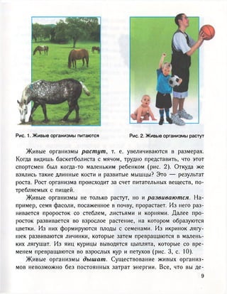 Рис. 1. Живые организмы питаются Рис. 2. Живые организмы растут
Живые организмы растут, т. е. увеличиваются в размерах.
Когда видишь баскетболиста с мячом, трудно представить, что этот
спортсмен был когда-то маленьким ребенком (рис. 2). Откуда же
взялись такие длинные кости и развитые мышцы? Это — результат
роста. Рост организма происходит за счет питательных веществ, по-
требляемых с пищей.
Живые организмы не только растут, но и развиваются. На-
пример, семя фасоли, посаженное в почву, прорастает. Из него раз-
вивается проросток со стеблем, листьями и корнями. Далее про-
росток развивается во взрослое растение, на котором образуются
цветки. Из них формируются плоды с семенами. Из икринок лягу-
шек развиваются личинки, которые затем превращаются в малень-
ких лягушат. Из яиц курицы выводятся цыплята, которые со вре-
менем превращаются во взрослых кур и петухов (рис. 3, с. 10).
Живые организмы дышат. Существование живых организ-
мов невозможно без постоянных затрат энергии. Все, что вы де-
9
 