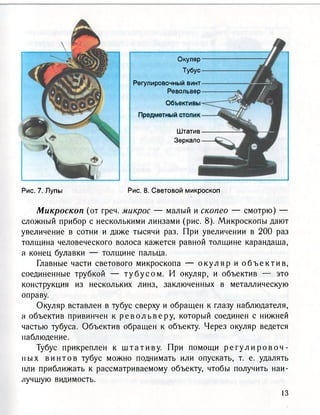 Рис. 7. Лупы Рис. 8. Световой микроскоп
Микроскоп (от греч. микрос — малый и скопео — смотрю) —
сложный прибор с несколькими линзами (рис. 8). Микроскопы дают
увеличение в сотни и даже тысячи раз. При увеличении в 2 0 0 раз
толщина человеческого волоса кажется равной толщине карандаша,
а конец булавки — толщине пальца.
Главные части светового микроскопа — о к у л я р и о б ъ е к т и в ,
соединенные трубкой — т у б у с о м . И окуляр, и объектив — это
конструкция из нескольких линз, заключенных в металлическую
оправу.
Окуляр вставлен в тубус сверху и обращен к глазу наблюдателя,
а объектив привинчен к р е в о л ь в е р у , который соединен с нижней
частью тубуса. Объектив обращен к объекту. Через окуляр ведется
наблюдение.
Тубус прикреплен к ш т а т и в у . При помощи р е г у л и р о в о ч -
ных в и н т о в тубус можно поднимать или опускать, т. е. удалять
или приближать к рассматриваемому объекту, чтобы получить наи-
лучшую видимость.
Окуляр
Тубус
Регулировочный винт
Револьвер
Объективы
Предметный столик
Штатив
Зеркало
 