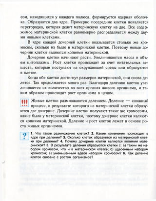 сом, находящихся у каждого полюса, формируется ядерная оболоч-
ка. Образуются два ядра. Примерно посередине клетки появляется
перегородка, которая делит материнскую клетку на две. Все содер-
жимое материнской клетки равномерно распределяется между дву-
мя новыми клетками.
В ядре каждой дочерней клетки оказывается столько же хро-
мосом, сколько их было в материнской клетке. Поэтому новые до-
черние клетки являются копиями материнской.
Дочерние клетки начинают расти. Увеличиваются масса и объ-
ем цитоплазмы. Рост клетки происходит за счет питательных ве-
ществ, которые поступают из окружающей среды или образуются
в клетке.
Когда обе клетки достигнут размеров материнской, они снова де-
лятся. Так продолжается много раз. Благодаря делению клеток уве-
личивается их количество во всех органах живого организма, и та-
ким образом происходит рост организма в целом.
Ж Живые клетки размножаются делением. Деление — сложный
процесс, в результате которого из материнской клетки образу-
ются две дочерние. Дочерние клетки получают такие же хромосомы,
какие были у материнской клетки, поэтому дочерние клетки являют-
ся копиями материнской. Деление и рост клеток лежат в основе ро-
ста живых организмов.
1. Что такое размножение клеток? 2. Какие изменения происходят в
ядре при делении? 3. Сколько клеток образуется из материнской клет-
ки при делении? 4. Почему дочерние клетки являются копиями мате-
ринской? 5. В результате деления образуются клетки с: а) таким же на-
бором хромосом, что и в материнской клетке; б) удвоенным набором
хромосом; в) уменьшенным вдвое набором хромосом? 6. Как деление
клеток связано с ростом организмов?
 