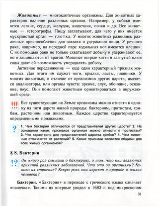 Животные — многоклеточные организмы. Для животных ха-
рактерно наличие различных органов. Например, у собаки име-
ются легкие, сердце, желудок, кишечник, почки и др. Все живот-
ные — гетеротрофы. Пищу заглатывают, для чего у них имеется
мускулистый орган — г л о т к а . У многих животных развились раз-
личные приспособления для захвата и удержания пищи. У речного
рака, например, на передней паре ходильных ног имеются клешни.
С их помощью раки не только схватывают добычу и удерживают ее,
но и защищаются от врагов. Мощные острые когти и загнутый клюв
совы дают ей возможность умерщвлять добычу.
Активное передвижение — еще один характерный признак жи-
вотных. Для этого им служат ноги, крылья, ласты, плавники. У
многих животных, в отличие от организмов других царств, имеют-
ся анализаторы, или органы чувств: зрение, слух, обоняние, осяза-
ние, вкус. Они помогают животным ориентироваться в окружаю-
щей среде.
Все существующие на Земле организмы можно отнести к одно-
••• му из пяти царств живой природы: бактериям, протистам, гри-
бам, растениям или животным. Каждое царство характеризуется
определенными признаками.
q 1. Чем бактерии отличаются от представителей других царств? 2. На
С основании каких признаков организм можно отнести к протистам?
3. Что характерно для представителей царства грибов? 4. Чем живот-
ные отличаются от растений? 5. Какие признаки являются общими для
всех живых организмов?
§ 8. Бактерии
• л Вы много раз слышали о бактериях, о том, что они являются
> • причиной различных заболеваний. Что это за организмы? Ка-
ково их строение? Какую роль они играют в природе и жизни
человека?
Бактерии. «Бактерия» в переводе с греческого языка означает
«палочка». Такими их впервые увидел в 1683 г. под микроскопом
 