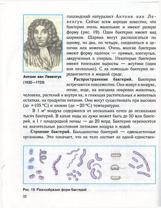 голландский натуралист А н т о н и в а н Л е -
ве нгу к. Сейчас всем хорошо известно, что
бактерии очень маленькие и имеют разную
форму (рис. 19). Одни бактерии имеют вид
шариков. Шарики могут располагаться по
одному, по два, по четыре, соединяться в це-
почки или комочки. Очень многие бактерии
имеют форму палочек — прямых, изогнутых,
закрученных в спираль. Некоторые бактерии
имеют тоненькие выросты — жгутики (один
или несколько). С их помощью бактерии пе-
редвигаются в жидкой среде.
Распространение бактерий. Бактерии
встречаются повсеместно. Они живут в воздухе,
почве, воде, на внешних покровах животных,
человека, растений и внутри их, в гниющих растительных и животных
остатках, на продуктах питания. Они могут существовать при высоких
(до + 1 0 5 ° С ) и низких (до — 20 °С) температурах.
В 1 м3 воздуха содержится от нескольких сотен до нескольких
тысяч бактерий. В капле воды из лужи может быть до 50 млн бакте-
рий, в 1 г плодородной почвы — до 20 млрд. Бактерии переносятся
на значительные расстояния потоками воздуха и водой.
Строение бактерий. Большинство бактерий — одноклеточные
организмы. Это означает, что их тело состоит из одной-единствен-
Антони ван Левенгук
(1632—1723)
Рис. 19. Разнообразие форм бактерий
 