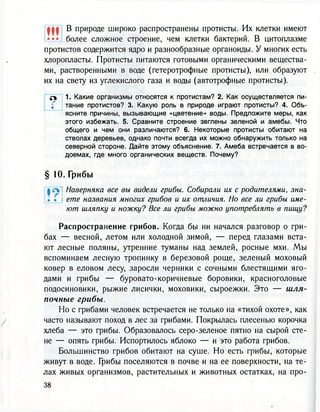 В природе широко распространены протисты. Их клетки имеют
более сложное строение, чем клетки бактерий. В цитоплазме
протистов содержится ядро и разнообразные органоиды. У многих есть
хлоропласты. Протисты питаются готовыми органическими вещества-
ми, растворенными в воде (гетеротрофные протисты), или образуют
их на свету из углекислого газа и воды (автотрофные протисты).
<Г 1. Какие организмы относятся к протистам? 2. Как осуществляется пи-
; тание протистов? 3. Какую роль в природе играют протисты? 4. Объ-
ясните причины, вызывающие «цветение» воды. Предложите меры, как
этого избежать. 5. Сравните строение эвглены зеленой и амебы. Что
общего и чем они различаются? 6. Некоторые протисты обитают на
стволах деревьев, однако почти всегда их можно обнаружить только на
северной стороне. Дайте этому объяснение. 7. Амеба встречается в во-
доемах, где много органических веществ. Почему?
Ж• • •
§ 10. Грибы
| л Наверняка все вы видели грибы. Собирали их с родителями, зна-
. . ете названия многих грибов и их отличия. Но все ли грибы име-
ют шляпку и ножку? Все ли грибы можно употреблять в пищу?
Распространение грибов. Когда бы ни начался разговор о гри-
бах — весной, летом или холодной зимой, — перед глазами вста-
ют лесные поляны, утренние туманы над землей, росные мхи. Мы
вспоминаем лесную тропинку в березовой роще, зеленый моховый
ковер в еловом лесу, заросли черники с сочными блестящими яго-
дами и грибы — буровато-коричневые боровики, красноголовые
подосиновики, рыжие лисички, моховики, сыроежки. Это — шля-
почные грибы.
Но с грибами человек встречается не только на «тихой охоте», как
часто называют поход в лес за грибами. Покрылась плесенью корочка
хлеба — это грибы. Образовалось серо-зеленое пятно на сырой сте-
не — опять грибы. Испортилось яблоко — и это работа грибов.
Большинство грибов обитают на суше. Но есть грибы, которые
живут в воде. Грибы поселяются в почве и на ее поверхности, на те-
лах живых организмов, растительных и животных остатках, на про-
 