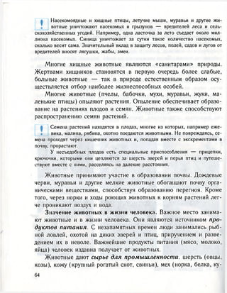 Насекомоядные и хищные птицы, летучие мыши, муравьи и другие жи-
вотные уничтожают насекомых и грызунов — вредителей леса и сель-
скохозяйственных угодий. Например, одна ласточка за лето съедает около мил-
лиона насекомых. Синица уничтожает за сутки такое количество насекомых,
сколько весит сама. Значительный вклад в защиту лесов, полей, садов и лугов от
вредителей вносят лягушки, жабы, змеи.
Многие хищные животные являются «санитарами» природы.
Жертвами хищников становятся в первую очередь более слабые,
больные животные — так в природе естественным образом осу-
ществляется отбор наиболее жизнеспособных особей.
Многие животные (пчелы, бабочки, мухи, муравьи, жуки, ма-
ленькие птицы) опыляют растения. Опыление обеспечивает образо-
вание на растениях плодов и семян. Животные также способствуют
распространению семян растений.
Семена растений находятся в плодах, многие из которых, например еже-
вика, малина, рябина, охотно поедаются животными. Не повреждаясь, се-
мена проходят через кишечник животных и, попадая вместе с экскрементами в
почву, прорастают.
У несъедобных плодов есть специальные приспособления — прицепки,
крючочки, которыми они цепляются за шерсть зверей и перья птиц и путеше-
ствуют вместе с ними, расселяясь на далекие расстояния.
Животные принимают участие в образовании почвы. Дождевые
черви, муравьи и другие мелкие животные обогащают почву орга-
ническими веществами, способствуя образованию перегноя. Кроме
того, через норки и ходы роющих животных к корням растений лег-
че проникают воздух и вода.
Значение животных в жизни человека. Важное место занима-
ют животные и в жизни человека. Они являются источником про-
дуктов питания. С незапамятных времен люди занимались рыб-
ной ловлей, охотой на диких зверей и птиц, приручением и разве-
дением их в неволе. Важнейшие продукты питания (мясо, молоко,
яйца) человек издавна получает от животных.
Животные дают сырье для промышленности, шерсть (овцы,
козы), кожу (крупный рогатый скот, свиньи), мех (норка, белка, ку-
 