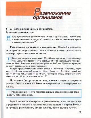 змножение
организмов
§ 17. Размножение живых организмов.
Бесполое размножение
Как происходит размножение живых организмов? Какое это
• • имеет значение в природе? Какие способы размножения орга-
низмов существуют?
Размножение организмов и его значение. Каждый живой орга-
низм проходит определенные стадии развития и имеет вполне опре-
деленную продолжительность жизни.
Бактерии, например, живут всего 20—30 мин, протисты — несколько су-
ток. Однолетние травы — от 3 недель до 10—11 месяцев, двулетние рас-
тения — 14—16 месяцев, многолетние травы — 5—7 лет. Деревья и кустарни-
ки живут десятки, сотни и даже тысячи лет.
Разную продолжительность жизни имеют и животные. Например, пауки
живут 1—2 года, дождевой червь — 10 лет, белка — 12—13 лет, дикий ка-
бан — 20—25 лет, лошадь — до 40 лет. Некоторые птицы, например беркут,
доживают до 100 лет, а черепахи — до 150.
Но сколько бы организм ни жил, в конце концов он стареет и
умирает. Однако жизнь на Земле не прерывается благодаря размно-
жению.
Размножение — это свойство живых организмов воспроиз-
водить себе подобных.
Живой организм приступает к размножению, когда он достигает
определенного возраста и накапливает запас веществ и энергии. В осно-
ве процесса размножения, как вы помните, лежит деление клеток.
 