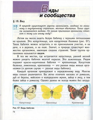 адь/
и сообщества
§ 19. Вид
пы называются видами. По каким признакам организмы отно-
сят к тому или иному виду?
Летом вы могли видеть белую бабочку с черными пятнышками
на крыльях. Это капустница, или капустная белянка (рис. 57).
Таких бабочек можно встретить и на пришкольном участке, и на
даче, и в деревне, и на поле. Значит, в природе существует мно-
жество организмов, имеющих сходное строение. Такая группа ор-
ганизмов называется видом.
В тех же местах, где встречается капустница, ранней весной
можно увидеть бабочек желтой окраски. Это лимонницы. Рядом
порхают красно-коричневые бабочки — крапивницы. Капустная
белянка, лимонница, крапивница — это разные виды живых орга-
низмов (в данном случае — разные виды бабочек).
Каждый организм принадлежит к определенному виду. Многие
виды сильно различаются. Вы легко отличите василек от ромашки,
дуб от березы, майского и колорадского жуков, зайца и лису, а тем
более зайца и ромашку. Однако далеко не всегда можно без затруд-
I л В природе существуют группы организмов, сходных по внеш-
• Г нему и внутреннему строению, местам обитания. Такие груп-
Рис. 57. Виды бабочек
74
 