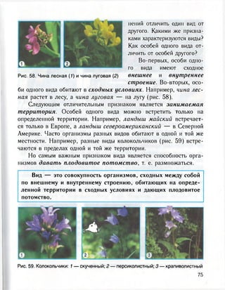 нений отличить один вид от
другого. Какими же призна-
ками характеризуются виды?
Как особей одного вида от-
личить от особей другого?
Во-первых, особи одно-
го вида имеют сходное
Рис. 58. Чина лесная (1) и чина луговая (2) внешнее и внутреннее
строение. Во-вторых, осо-
би одного вида обитают в сходных условиях. Например, чина лес-
ная растет в лесу, а чина луговая — на лугу (рис. 58).
Следующим отличительным признаком является занимаемая
территория. Особей одного вида можно встретить только на
определенной территории. Например, ландыш майский встречает-
ся только в Европе, а ландыш североамериканский — в Северной
Америке. Часто организмы разных видов обитают в одной и той же
местности. Например, разные виды колокольчиков (рис. 59) встре-
чаются в пределах одной и той же территории.
Но самым важным признаком вида является способность орга-
низмов давать плодовитое потомство, т. е. размножаться.
Вид — это совокупность организмов, сходных между собой
по внешнему и внутреннему строению, обитающих на опреде-
ленной территории в сходных условиях и дающих плодовитое
потомство.
Л
Рис. 59. Колокольчики: 1 — скученный; 2 — персиколистный; 3— крапиволистный
 