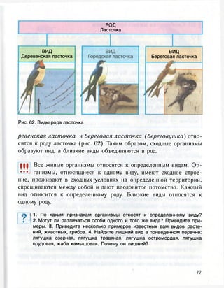 РОД
Ласточка
ВИД
Деревенская ласточка
ВИД
Береговая ласточка
Рис. 62. Виды рода ласточка
ревенская ласточка и береговая ласточка (береговушка) отно-
сятся к роду ласточка (рис. 62). Таким образом, сходные организмы
образуют вид, а близкие виды объединяются в род.
||| Все живые организмы относятся к определенным видам. Ор-
••• ганизмы, относящиеся к одному виду, имеют сходное строе-
ние, проживают в сходных условиях на определенной территории,
скрещиваются между собой и дают плодовитое потомство. Каждый
вид относится к определенному роду. Близкие виды относятся к
одному роду.
л 11. По каким признакам организмы относят к определенному виду?
Г 2. Могут ли различаться особи одного и того же вида? Приведите при-
меры. 3. Приведите несколько примеров известных вам видов расте-
ний, животных, грибов. 4. Найдите лишний вид в приведенном перечне:
лягушка озерная, лягушка травяная, лягушка остромордая, лягушка
прудовая, жаба камышовая. Почему он лишний?
 