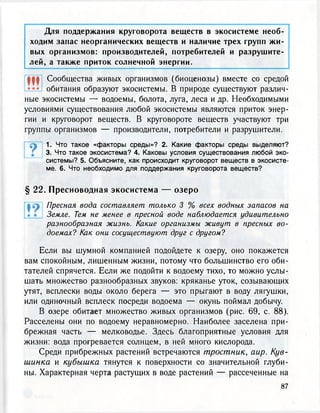 Для поддержания круговорота веществ в экосистеме необ-
ходим запас неорганических веществ и наличие трех групп жи-
вых организмов: производителей, потребителей и разрушите-
лей, а также приток солнечной энергии.
Ж Сообщества живых организмов (биоценозы) вместе со средой
обитания образуют экосистемы. В природе существуют различ-
ные экосистемы — водоемы, болота, луга, леса и др. Необходимыми
условиями существования любой экосистемы являются приток энер-
гии и круговорот веществ. В круговороте веществ участвуют три
группы организмов — производители, потребители и разрушители.
1. Что такое «факторы среды»? 2. Какие факторы среды выделяют?
3. Что такое экосистема? 4. Каковы условия существования любой эко-
системы? 5. Объясните, как происходит круговорот веществ в экосисте-
ме. 6. Что необходимо для поддержания круговорота веществ?
§ 22. Пресноводная экосистема — озеро
Пресная вода составляет только 3 % всех водных запасов на
Земле. Тем не менее в пресной воде наблюдается удивительно
разнообразная жизнь. Какие организмы живут в пресных во-
доемах? Как они сосуществуют друг с другом?
Если вы шумной компанией подойдете к озеру, оно покажется
вам спокойным, лишенным жизни, потому что большинство его оби-
тателей спрячется. Если же подойти к водоему тихо, то можно услы-
шать множество разнообразных звуков: кряканье уток, созывающих
утят, всплески воды около берега — это прыгают в воду лягушки,
или одиночный всплеск посреди водоема — окунь поймал добычу.
В озере обитает множество живых организмов (рис. 69, с. 88).
Расселены они по водоему неравномерно. Наиболее заселена при-
брежная часть — мелководье. Здесь благоприятные условия для
жизни: вода прогревается солнцем, в ней много кислорода.
Среди прибрежных растений встречаются тростник, аир. Кув-
шинка и кубышка тянутся к поверхности со значительной глуби-
ны. Характерная черта растущих в воде растений — рассеченные на
 