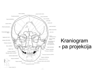 Kraniogram
- pa projekcija
 
