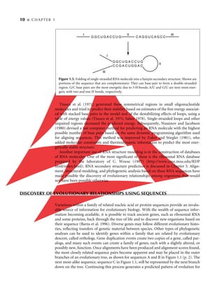 Bioinformatics Sequence And Genome Analysis 1st Edition David W Mount | PDF
