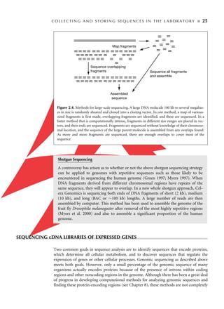 Bioinformatics Sequence And Genome Analysis 1st Edition David W Mount | PDF