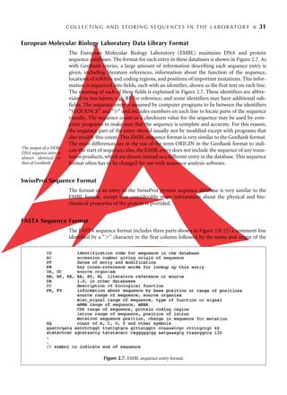 Bioinformatics Sequence And Genome Analysis 1st Edition David W Mount | PDF