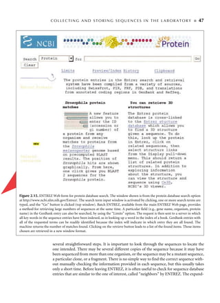 Bioinformatics Sequence And Genome Analysis 1st Edition David W Mount | PDF