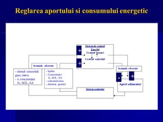Reglarea aportului si consumului energetic
Sistem de control
Encefal
Centrul foamei
Centrul saţietăţii
- leptina
- ↑concenraţiei
G, AGL, AA
- colecistokinina
- distensia gastrică Aport alimentar
- stimuli senzoriali:
gust, miros
-  concenraţiei
G, AGL, AA
Semnale aferente
Semnale eferente
+
Sistem controlat
+
- +
- -
+
+
+
-
 