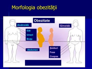 Morfologia obezităţii
Obezitate
Androidă Ginoidă
Gât
Umeri
Braţe
Şolduri
Fese
Coapse
Abdomen
 