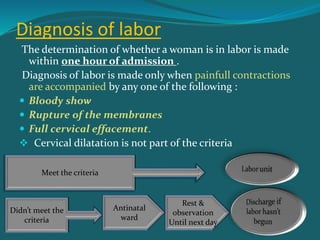 33644_First Stage of Labor.ppt