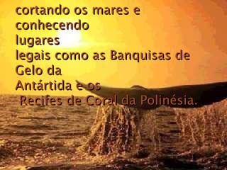cortando os mares e conhecendo  lugares  legais como as Banquisas de  Gelo da  Antártida e os  Recifes de Coral da Polinésia.   