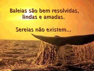 Baleias são bem resolvidas, lindas e amadas.  Sereias não existem...  