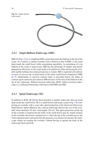 Advances In Endoscopy In Inflammatory Bowel Disease Toshiumi Hibi | PDF