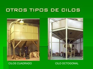 OTROS TIPOS DE CILOS




CILOS CUADRADO   CILO OCTOGONAL
 