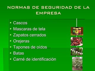 NORMAS DE SEGURIDAD DE LA
        EMPRESA

   Cascos
   Mascaras de tela
   Zapatos cerrados
   Orejeras
   Tapones de oídos
   Batas
   Carné de identificación
 