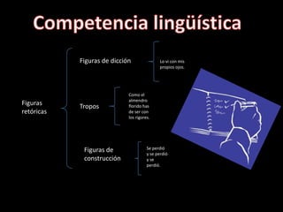 Competencia lingüística Figuras de dicciónLo vi con mis propios ojos.Como el almendro florido has de ser con los rigores.Figuras retóricas TroposFiguras de construcción Se perdió y se perdió y se perdió. 