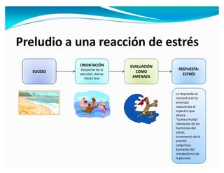 Preludio a una reacción de estrés
           ORIENTACIÓN         EVALUACIÓN
            Despertar de la                  RESPUESTA:
  SUCESO                         COMO
           atención. Alerta.                   ESTRÉS
              Estrés leve       AMENAZA



                                            La respuesta se
                                            concentra en la
                                            amenaza
                                            reduciendo el
                                            espectro que
                                            abarca
                                             lucha o huida
                                            Liberación de las
                                            hormonas del
                                            estrés.
                                            Incremento de la
                                            presión
                                            sanguínea.
                                            Aumento del
                                            metabolismo de
                                            la glucosa.
 