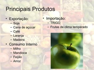 Principais Produtos
• Exportação:
– Soja
– Cana de açúcar
– Café
– Laranja
– Madeira
• Consumo Interno
– Milho
– Mandioca
– Feijão
– Arroz
• Importação:
– TRIGO
– Frutas de clima temperado
 