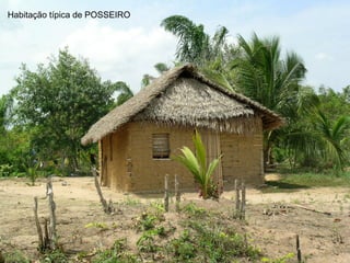 Habitação típica de POSSEIRO
 
