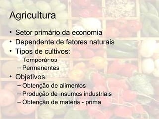 Agricultura
• Setor primário da economia
• Dependente de fatores naturais
• Tipos de cultivos:
– Temporários
– Permanentes
• Objetivos:
– Obtenção de alimentos
– Produção de insumos industriais
– Obtenção de matéria - prima
 