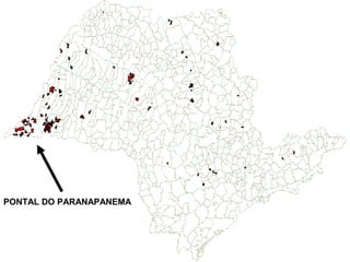 PONTAL DO PARANAPANEMA
 