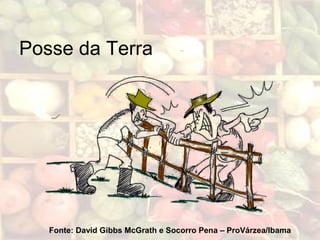 Posse da Terra
Fonte: David Gibbs McGrath e Socorro Pena – ProVárzea/Ibama
 