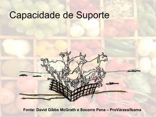 Capacidade de Suporte
Fonte: David Gibbs McGrath e Socorro Pena – ProVárzea/Ibama
 