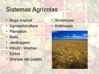 Sistemas Agrícolas
• Roça tropical
• Agrossilvicultura
• Plantation
• Belts
• Jardinagem
• Kibutz / Moshav
• Ejidos
• Granjas del pueblo
• Sovkhozes
• Kolkhozes
 