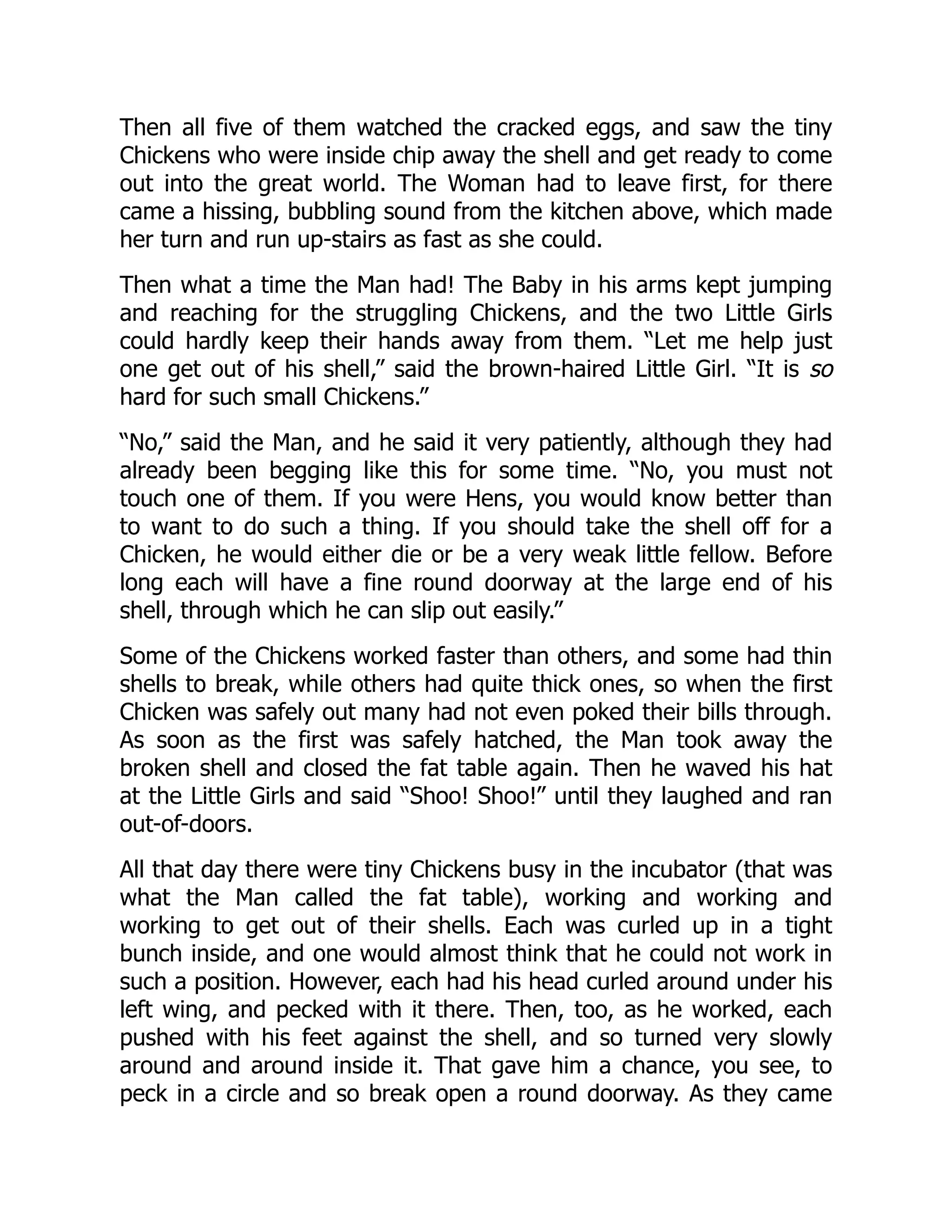 Then all five of them watched the cracked eggs, and saw the tiny
Chickens who were inside chip away the shell and get ready to come
out into the great world. The Woman had to leave first, for there
came a hissing, bubbling sound from the kitchen above, which made
her turn and run up-stairs as fast as she could.
Then what a time the Man had! The Baby in his arms kept jumping
and reaching for the struggling Chickens, and the two Little Girls
could hardly keep their hands away from them. “Let me help just
one get out of his shell,” said the brown-haired Little Girl. “It is so
hard for such small Chickens.”
“No,” said the Man, and he said it very patiently, although they had
already been begging like this for some time. “No, you must not
touch one of them. If you were Hens, you would know better than
to want to do such a thing. If you should take the shell off for a
Chicken, he would either die or be a very weak little fellow. Before
long each will have a fine round doorway at the large end of his
shell, through which he can slip out easily.”
Some of the Chickens worked faster than others, and some had thin
shells to break, while others had quite thick ones, so when the first
Chicken was safely out many had not even poked their bills through.
As soon as the first was safely hatched, the Man took away the
broken shell and closed the fat table again. Then he waved his hat
at the Little Girls and said “Shoo! Shoo!” until they laughed and ran
out-of-doors.
All that day there were tiny Chickens busy in the incubator (that was
what the Man called the fat table), working and working and
working to get out of their shells. Each was curled up in a tight
bunch inside, and one would almost think that he could not work in
such a position. However, each had his head curled around under his
left wing, and pecked with it there. Then, too, as he worked, each
pushed with his feet against the shell, and so turned very slowly
around and around inside it. That gave him a chance, you see, to
peck in a circle and so break open a round doorway. As they came
 