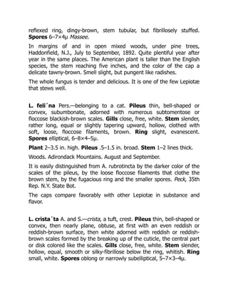 Fibrulose Pdf An Introduction to Service Design Designing the Invisible Lara Penin | PDF