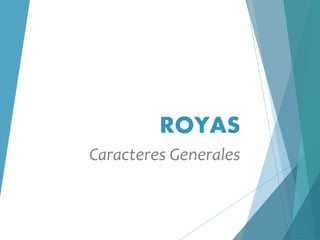 ROYAS
Caracteres Generales
 