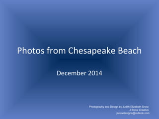 Photos from Chesapeake Beach
December 2014
Photography and Design by Judith Elizabeth Snow
J Snow Creative
jsnowdesigns@outlook.com
 