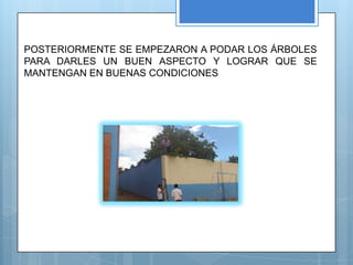 POSTERIORMENTE SE EMPEZARON A PODAR LOS ÁRBOLES
PARA DARLES UN BUEN ASPECTO Y LOGRAR QUE SE
MANTENGAN EN BUENAS CONDICIONES
 
