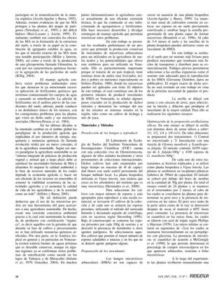 participan en la mineralización de la mate-        países latinoamericanos la agricultura care-     crecer en ausencia de una planta hospedera
ria orgánica (Azcón-Aguilar y Barea, 1992).        ce actualmente de una eficiente extensión        (Azcón-Aguilar y Barea, 1999). La mane-
Además, existen evidencias de que las MA           técnica, lo que ha conducido al uso indis-       ra más usual de cultivarlos consiste en co-
protegen a las plantas del ataque de pató-         criminado de agroquímicos y fertilizantes.       locar sus esporas en un suelo previamente
genos (Newsham et al., 1995) y del déficit         Ello hace necesario desarrollar y divulgar       esterilizado y sembrar luego la semilla pre-
hídrico (Ruiz-Lozano y Azcón, 1995). Fi-           estrategias de manejo agrícola que permitan      germinada de una planta capaz de formar
nalmente, también son conocidos los efectos        minimizar estos problemas.                       micorrizas (Brundrett et al., 1996). Al cabo
de las MA en la formación de la estructura                             En este trabajo se presen-   de 3-4 meses el suelo y las raicillas de la
del suelo, a través de su papel en la cons-        tan los resultados preliminares de un pro-       planta hospedera pueden utilizarse como un
titución de agregados estables al agua, en         yecto que pretende la producción comercial       inoculante de HMA.
los que el micelio externo de las MA tiene         de inoculantes de micorrizas arbusculares                           En este trabajo se sustitu-
una notable participación (Miller y Jastrow,       para ser utilizados en la agricultura de sue-    yó el suelo por un sustrato más liviano para
2000), así como a través de la producción          los ácidos y las potencialidades que ofrece      producir inoculantes que resultasen más fá-
de una glicoproteína llamada Glomalina, la         esta simbiosis para ser utilizada en Vene-       ciles de transportar y distribuir para su co-
cual por sus características químicas favore-      zuela. Ello es particularmente importante        mercialización. Trabajos previos permitieron
ce la agregación de las partículas de suelo        porque al tratarse de un país tropical, tiene    seleccionar a las arcillas expansivas como el
(Rillig, 2004).                                    extensas áreas de suelos muy lixiviados, áci-    sustrato más adecuado para la reproducción
                    El manejo agrícola con-        dos y pobres en nutrientes especialmente en      de los HMA (Giovanny Oirdobro, datos no
lleva varios problemas ambientales entre           fósforo (Paolini, 1988), donde las micorrizas    publicados). El origen exacto de dicha arci-
los que destacan la ya mencionada excesi-          pueden ser aplicadas con éxito. El objetivo      lla no será revelado en este trabajo en vista
va aplicación de fertilizantes químicos que        de este trabajo, el cual constituye uno de los   de la próxima necesidad de patentar el pro-
terminan contaminando los cuerpos de agua          primeros intentos de producir inoculantes        ducto.
y causando su eutroficación. La adición de         de HMA en Venezuela, es señalar algunos                             La arcilla se diluyó con
fertilizantes sin el análisis previo de las con-   pasos cruciales en la producción de dichos       arena o con cáscara de arroz, para seleccio-
diciones del suelo, además, puede conducir         inóculos y demostrar las ventajas del uso        nar la mezcla y dilución que produjese el
a un desbalance iónico de los mismos, con          de los mismos en sistemas usuales en la          inoculante de la mayor calidad. Para ello se
los consiguientes problemas para las plantas       región, tales como un cultivo de lechuga y       realizaron los siguientes ensayos:
que viven en dicho suelo y sus micorrizas          uno de yuca.
asociadas (Herrera-Peraza et al., 1984).                                                            Optimización de la proporción arcilla/arena
                    En las últimas décadas se      Materiales y Métodos                             silícea. En este ensayo se diluyó la arcilla
ha intentado cambiar en el ámbito global los                                                        con distintas dosis de arena silícea a saber:
paradigmas de la producción agrícola que           Preselección de los hongos a reproducir          1/1, 1/2, 1/4 y 1/8 (v/v). De tales diluciones
implicaban el uso intensivo de energía, ma-                                                         se prepararon dos tratamientos: 1) Control
quinaria y sustancias químicas (la llamada                            El Laboratorio de Ecolo-      no micorrizado y 2) Inoculación con una
revolución verde) por un nuevo concepto, el        gía de Suelos del Instituto Venezolano de        mezcla de Glomus manihotis y Scutellospo-
de la agricultura sustentable. Según ese nue-      Investigaciones Científicas (IVIC) cuenta        ra fulgida. El inóculo contenía 16359 espo-
vo paradigma la agricultura sustentable es un      con una colección viva de Glomeromycota,         ras de S. fulgida·100g-1 y 4349 esporas de
“sistema integrado de prácticas de producción      algunos de ellos aislados localmente y otros     G. manihotis·100g-1.
vegetal y animal que a largo plazo debe a)         provenientes de colecciones internacionales.                        De cada uno de estos tra-
satisfacer las necesidades humanas de fibra y      Dichos cultivos han sido mantenidos por          tamientos se hicieron triplicados y se utilizó
alimentos b) mejorar la calidad ambiental y        largo tiempo en macetas de 4l de capaci-         como planta hospedera a Vigna luteola. Las
la base de recursos naturales de los cuales        dad llenos con suelo estéril proveniente del     plantas se sembraron en recipientes plásticos
depende la economía agrícola c) hacer un           bosque nublado local. La planta hospedera        (tubetes) de 350ml de capacidad. El inóculo
uso eficiente de los recursos no renovables d)     utilizada es Vigna luteola, una maleza que       se colocó por debajo del hoyo de siembra
sostener la viabilidad económica de las ac-        crece en los alrededores del instituto que es    en la cantidad de 30g por planta. En total el
tividades agrícolas y e) aumentar la calidad       muy micorrízica (Hernández et al., 2000).        ensayo constó de 24 plantas y se mantuvo
de vida de los agricultores y de la sociedad                          Para seleccionar los cul-     en el invernadero por 2 meses, al cabo de
como un todo” (Jeffries y Barea, 2001).            tivos con mayor número de esporas y más          los cuales se cosecharon las plantas para de-
                    De tal definición puede        apropiados para reproducir a una escala co-      terminar su peso seco y la presencia de mi-
deducirse que el uso de las micorrizas po-         mercial, se revisaron 47 cultivos de la colec-   corrizas en las raíces. El peso seco tanto de
dría ser una herramienta útil para acercar-        ción y de cada uno se aislaron las esporas       la parte aérea como de la raíz se determinó
nos a una agricultura sustentable. De hecho,       presentes, utilizando el método del tamizado     después de secar el material a 60ºC hasta
existe una creciente conciencia ambiental          húmedo y decantado seguido de centrifuga-        peso constante. La presencia de micorrizas
gracias a la cual está aumentando la deman-        ción en sacarosa según Sieverding (1991).        se cuantificó en las raíces finas, las cuales
da de productos con certificación “orgáni-         Bajo el estereoscopio se contaron las espo-      se tiñeron con azul de tripán según Phillips
ca”, es decir aquellos con la garantía de que      ras presentes por cada 100g de sustrato y se     y Hayman (1970). Las raíces teñidas se cor-
durante su fase de cultivo y procesamiento         descartó la presencia de nemátodos u otros       taron en segmentos de ~2cm los cuales se
no se han utilizado sustancias químicas ar-        agentes patógenos. Se seleccionaron aque-        montaron horizontalmente en un portaobje-
tificiales. Por otra parte, en la América tro-     llos cultivos que poseían el mayor número de     tos con glicerina. La presencia de micorri-
pical en general y en particular en Venezue-       esporas saludables e intactas y en los que no    zas se cuantificó de acuerdo a McGonigle
la existen todavía fuentes de aguas prístinas      se detectó agente patógeno alguno.               et al. (1990), lo que permite determinar el
que es deseable conservar, aunque en algu-                                                          porcentaje de campos microscópicos en los
nas regiones ya se confrontan serios proble-       Preparación de los inoculantes                   que aparecen arbúsculos, vesículas e hifas
mas de eutroficación como sucede en los                                                             micorrízicas.
lagos de Valencia y de Maracaibo (Infante                          Los hongos micorrízicos                             A lo largo del experimen-
et al., 1979; González, 2004). En muchos           arbusculares (HMA) no son capaces de             to las plantas recibieron semanalmente una



24                                                                                                          JAN 2007, VOL. 32 Nº 1
 