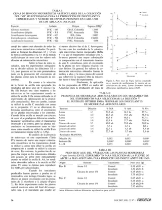 Tabla I
     Cepas de hongos micorrízicos arbusculares de la colección
      del IVIC seleccionadas para la producción de inoculantes
       comerciales y número de esporas presente en cada uno
                       de los aislados iniciales
Especie	                               Aislado	                 Origen	            Esporas·100g-1
Glomus manihotis	                    IVIC - 645	           CIAT, Colombia	             12695
Scutellospora fulgida	               IVIC - X-1	           IVIC, Venezuela	             7536
Scutellospora heterogama	            IVIC - 607	              IES, Cuba	               18893
Entrophospora colombiana	            IVIC - 596	           CIAT, Colombia	            136090
Acaulospora lacunosa	                IVIC - 622	           IVIC, Venezuela	             6136

arrojó los valores más elevados de todas las      el menos efectivo fue el de S. heterogama.
estructuras micorrízicas evaluadas. En parti-     En este caso los resultados de la coloniza-
cular se destacan las diluciones 1/1 y 1/4 en     ción micorrízica fueron inesperados (Tabla
la mezcla arcilla/arena y la 1/1 en la mezcla     V) ya que el tratamiento inoculado con A.
arcilla/cáscara de arroz con los valores más      lacunosa presentó una mayor colonización
elevados de colonización micorrízica.             en comparación con el tratamiento inocula-
                    Sobre la base de estos re-    do con E. colombiana, pero el crecimiento
sultados, para los experimentos subsiguien-       de la planta no tuvo ninguna relación con
tes se decidió utilizar las diluciones 1/1 y      tales hechos. En general, los valores de co-
1/4, pues parecen ser las más prometedoras        lonización micorrízica obtenidos fueron de
tanto en la promoción del crecimiento de          medios a altos y la única planta del control
las plantas, como para la formación de mi-        que sobrevivió se mantuvo libre de micorri-
corrizas.                                         zas hasta el final del experimento.                   Figura 1. Peso seco de Vigna luteola creciendo
                    En cuanto a la selección                         Finalmente, la aplicación          en a: mezcla de arcilla/arena, b: mezcla de ar-
de la fuente de arcilla más apropiada, los        de los preparados de HMA en suelos del                cilla/cáscara de arroz. Letras diferentes indican
resultados del peso seco de V. luteola (Ta-       Amazonas para la producción de yuca de                diferencias significativas para p<0,05.
bla III) indican una clara respuesta a las
micorrizas en los experimentos cuando se                                      Tabla II
utilizó la arcilla B (la misma utilizada en el       Presencia de micorrizas arbusculares en los tratamientos
experimento de optimización de la propor-                  del experimento para seleccionar la dilución y
ción arena/arcilla). Pero en cambio, cuando              el sustrato óptimos para preparar los inoculantes
se utilizó la arcilla C mezclada con arena                          de micorrizas arbusculares
en la proporción 1/1 no se obtuvieron di-
                                                   Sustrato	         Dilución	  % MA	                                      % Arb	              % Ves
ferencias significativas entre el crecimiento
de las plantas micorrizadas y los controles.      Arena	               1/1	    53,5 ab	                                    38,3 bc	            27,7 c
Cuando dicha arcilla se mezcló con cáscara        Arena	               1/2	    42,7 ab	                                    19,3 abc	           22,3 bc
de arroz sí se produjeron diferencias estadís-    Arena	               1/4	    80,3 b	                                     48,0 c	             30,7 c
ticamente significativas entre el tratamiento     Arena	               1/8	    65,3 b	                                     37,7 abc	           20,0 bc
inoculado y el control, pero las plantas mi-      Cáscara de arroz	    1/1	    49,0 ab	                                    33,0 abc	           26,0 bc
corrizadas no incrementaron tanto su bio-         Cáscara de arroz	    1/2	     3,7 a	                                      2,7 a	              1,0 a
masa como cuando se utilizó la arcilla B en       Cáscara de arroz	    1/4	    12,7 a	                                      4,3 ab	             3,3 ab
un tratamiento similar (2,52 vs 3,75g).           Cáscara de arroz	    1/8	    22,7 ab	                                     5,7 abc	            3,3 ab
                    El análisis de la presencia    Resultados MANOVA			                                                        p	
de micorrizas en este experimento (Tabla          Dilución (A)		                                         0,092	             0,053	               0,019*
IV) muestra de nuevo una mayor coloniza-          Sustrato (B)		                                         0,000*	            0,000*	              0,000*
ción micorrízica en los tratamientos donde        A x B		                                                0,073	             0,203	               0,070
se utilizó la arena para diluir la arcilla, en
comparación a cuando se utilizó la cáscara
                                                                                 Tabla III
de arroz. En contraste, la producción de es-
                                                        Peso seco (±ES) del vástago de las plantas hospederas
poras fue mayor en los tratamientos diluidos
                                                   (Vigna luteola) en el experimento para seleccionar la fuente de
con cáscara de arroz pero especialmente
                                                   arcilla más adecuada para producir los inoculantes de HMA
cuando se utilizó la arcilla B. Así, los resul-
tados obtenidos indican a la mezcla arcilla/      Origen	      Sustrato	                                 Tratamiento	             Peso    seco (g)
arena 1/1 como la óptima para reproducir          Tipo B	   Arena 1/1	                                   Control	                 0,11    ±0,01 a
los HMA pre-seleccionados.                        			                                                    Inoculado	               1,31    ±0,04 b
                    Cuando los inoculantes        	         Cáscara de arroz 1/4	                        Control	                 0,15    ±0,03 a
producidos fueron puestos a prueba en el          			                                                    Inoculado	               3,75    ±0,20 d
invernadero, con lechuga Grandes lagos, se
obtuvo un mayor crecimiento con los prepa-        Tipo C	   Arena 1/1	                                   Control	                 0,05    ±0,01 a
rados de G. manihotis y S. fulgida (Figura        			                                                    Inoculado	               0,11    ±0,01 a
2). En dicho experimento todas las plantas        	         Cáscara de arroz 1/4	                        Control	                 1,15    ±0,20 b
control murieron antes del final del ensayo,      			                                                    Inoculado	               2,52    ±0,10 c
salvo una, y el inoculante que resultó ser        Letras diferentes indican diferencias significativas para p<0,05.



26                                                                                                               JAN 2007, VOL. 32 Nº 1
 