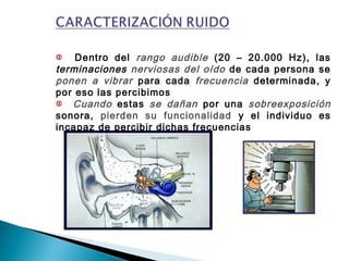 Dentro del rango audible (20 – 20.000 Hz), las
terminaciones nerviosas del oído de cada persona se
ponen a vibrar para cada frecuencia determinada, y
por eso las percibimos
Cuando estas se dañan por una sobreexposición
sonora, pierden su funcionalidad y el individuo es
incapaz de percibir dichas frecuencias
 