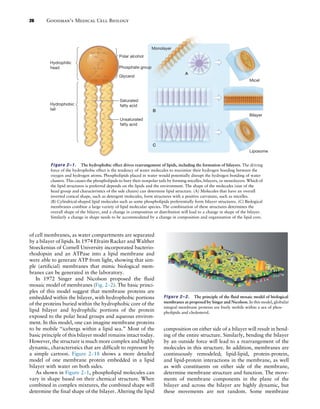 Goodman's Medical Cell Biology 4th Edition Steven R. Goodman | PDF