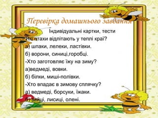 Перевірка домашнього завдання
Індивідуальні картки, тести
- Які птахи відлітають у теплі краї?
а) шпаки, лелеки, ластівки.
б) ворони, синиці,горобці.
-Хто заготовляє їжу на зиму?
а)ведмеді, вовки.
б) білки, миші-полівки.
-Хто впадає в зимову сплячку?
а) ведмеді, борсуки, їжаки.
б) зайці, лисиці, олені.
 