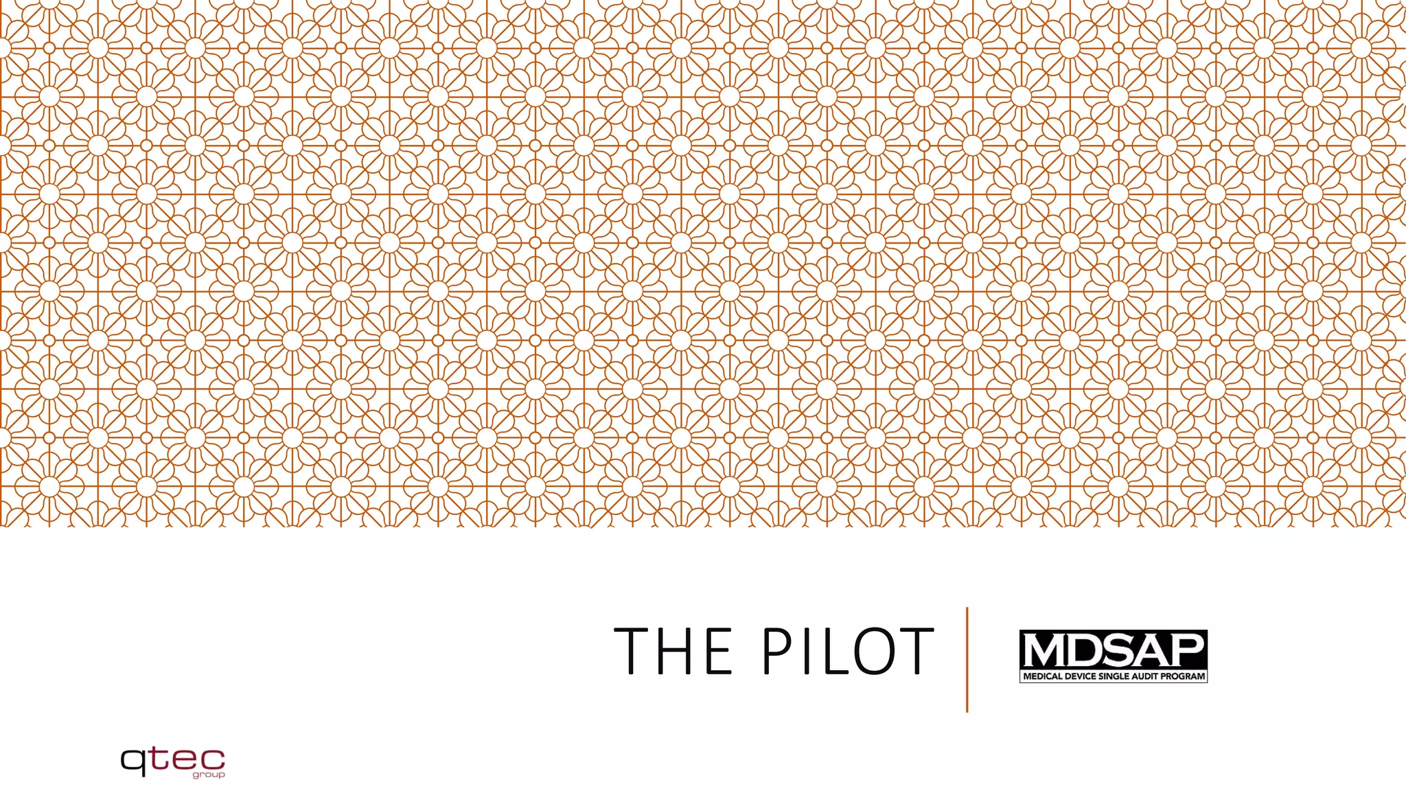 THE PILOT
 