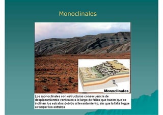 Monoclinales
 