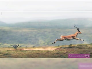 33 Brilliantly Creative Marketing Ads You Don't Want To Miss